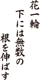 花一輪　下には無数の　根を伸ばす