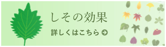 しその効果 詳しくはこちら