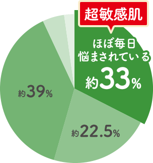 ほぼ毎日悩まされている（超敏感肌）：約33%