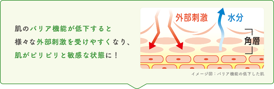 肌のバリア機能が低下すると様々な外部刺激を受けやすくなり、肌がピリピリと敏感な状態に！