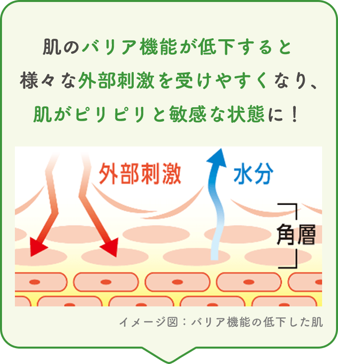 肌のバリア機能が低下すると様々な外部刺激を受けやすくなり、肌がピリピリと敏感な状態に！